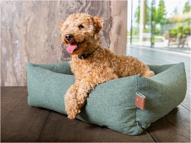 Fantail Snug Ortopedisk Hundbädd - Botanical Green