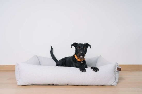 Fantail Snug Ortopedisk Hundbädd - Silver Spoon