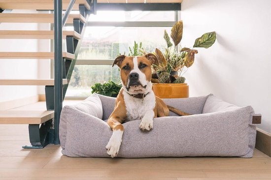 Fantail Snug Ortopedisk Hundbädd - Nut Grey