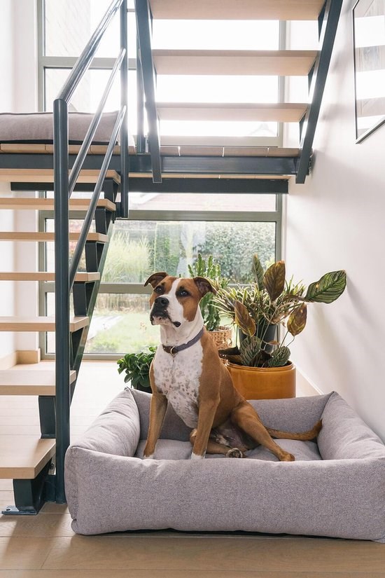 Fantail Snug Ortopedisk Hundbädd - Nut Grey