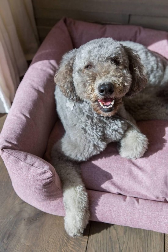 Fantail Snooze Ortopedisk Hundbädd - Iconic Pink