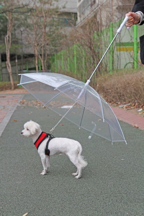 Umbrella - Praktiskt Hundparaply
