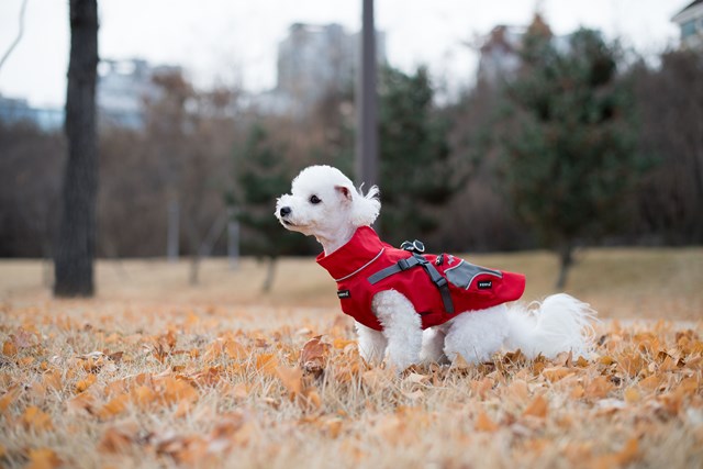 Teton - Regntäcke med Reflex - Röd