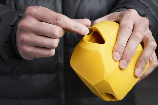 Gnawt A Rock - Dandelion Yellow