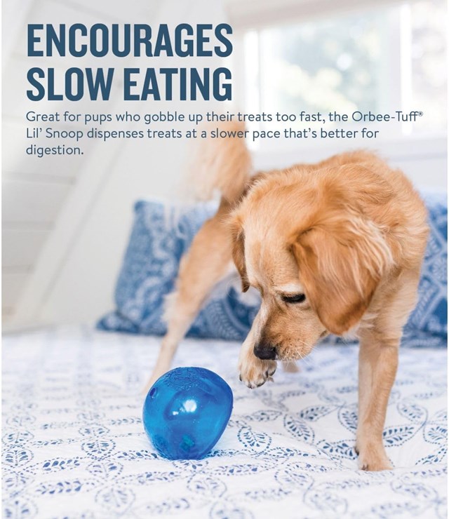 Planet Dog Orbee-Tuff Lil Snoop Aktiveringsleksak - Blå