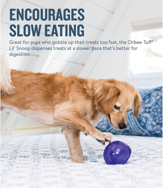 Planet Dog Orbee-Tuff Lil Snoop Aktiveringsleksak - Lila