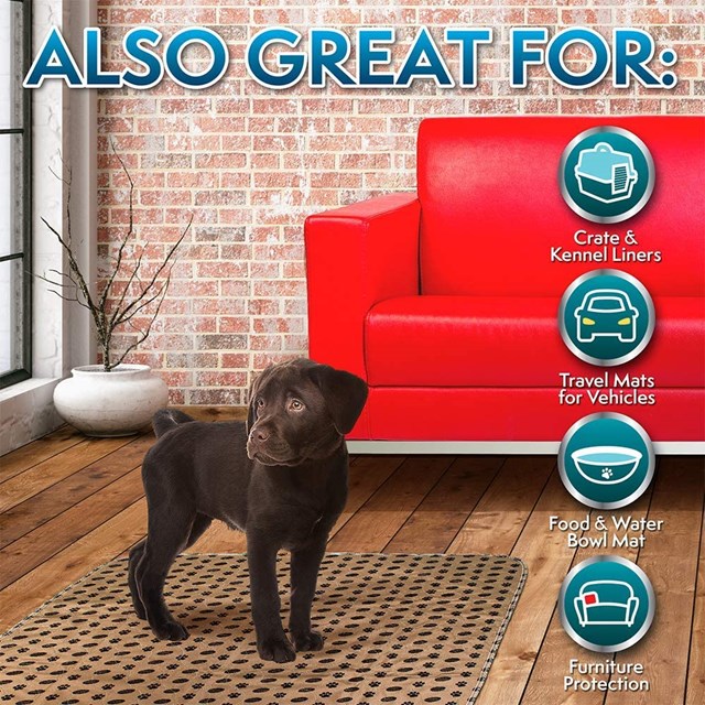 Tvättbar Valp/Resedyna - 2-pack