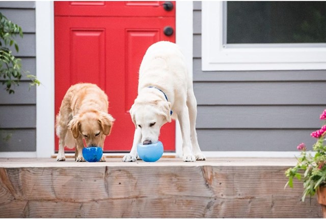 Planet Dog Orbee-Tuff Lil Snoop Aktiveringsleksak - Lila