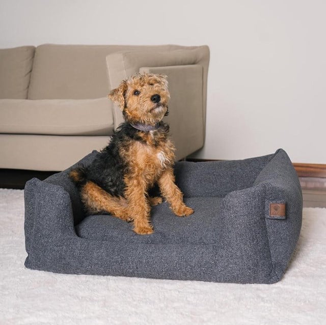 Fantail Snooze Ortopedisk Hundbädd - Epic Grey