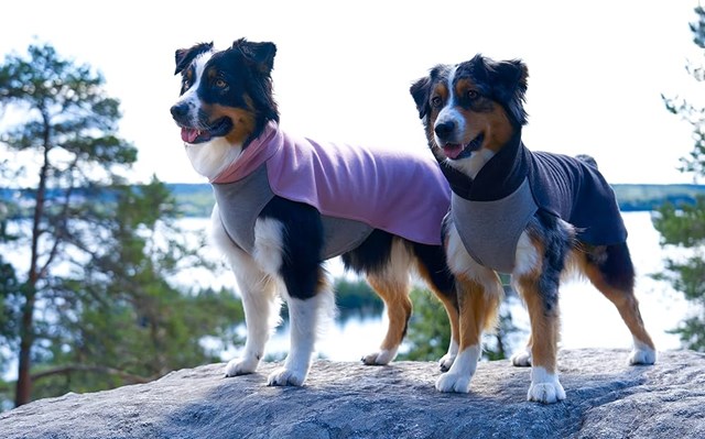 Recovery Winter Shirt - Grå Hundtröja i ullmix