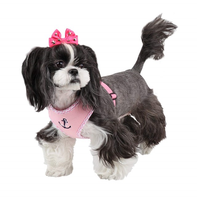 ATTICUS Pink - Hundsele LARGE
