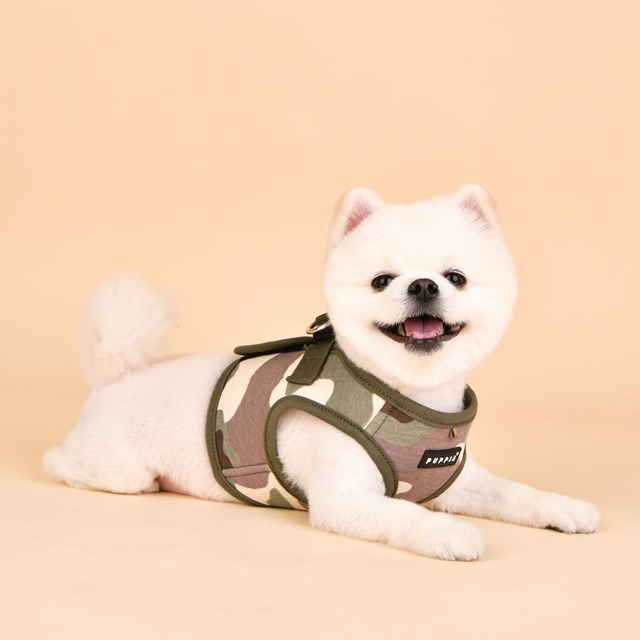 Lance Camo - Jacket Hundsele