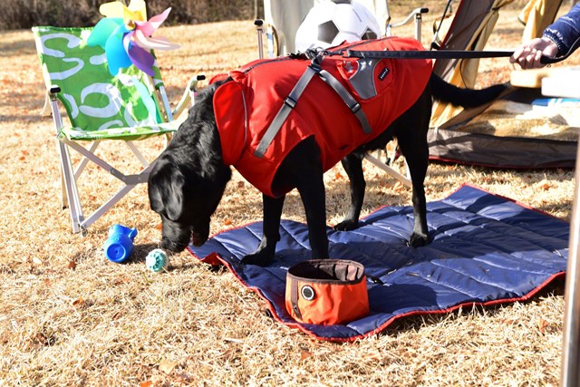 Teton - Regntäcke med Reflex - Röd