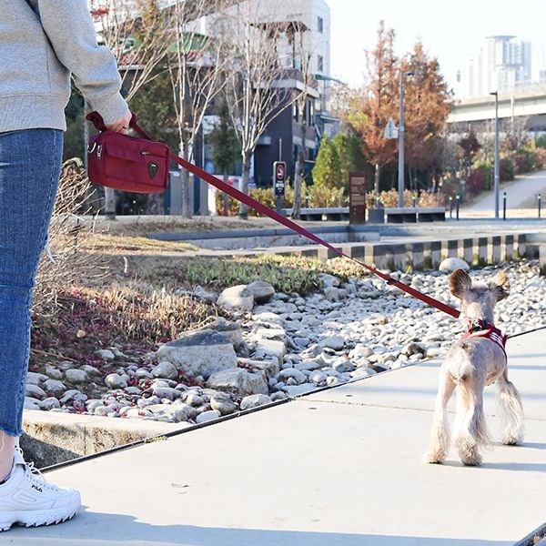 Ashton Hundkoppel Med Väska - Wine