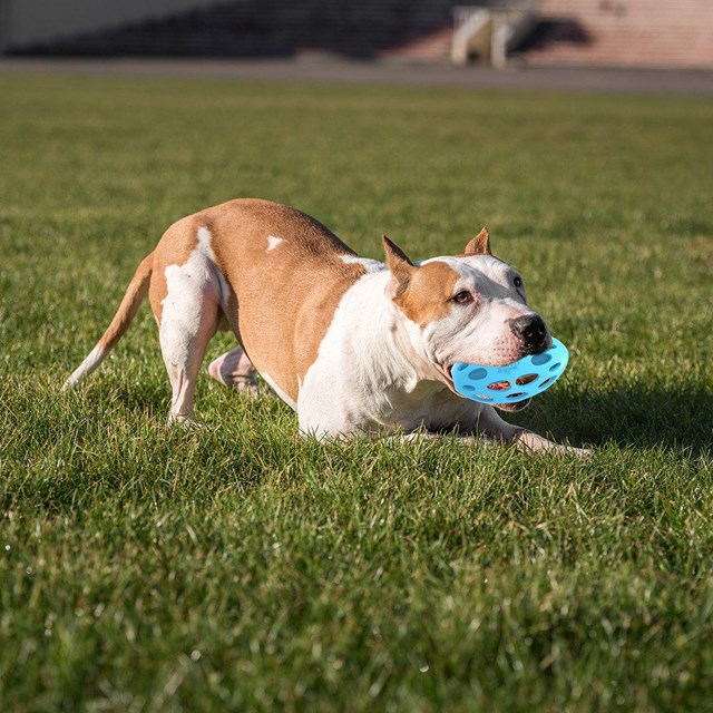 Meta Ball Wiggle Holey Roller - med ljud