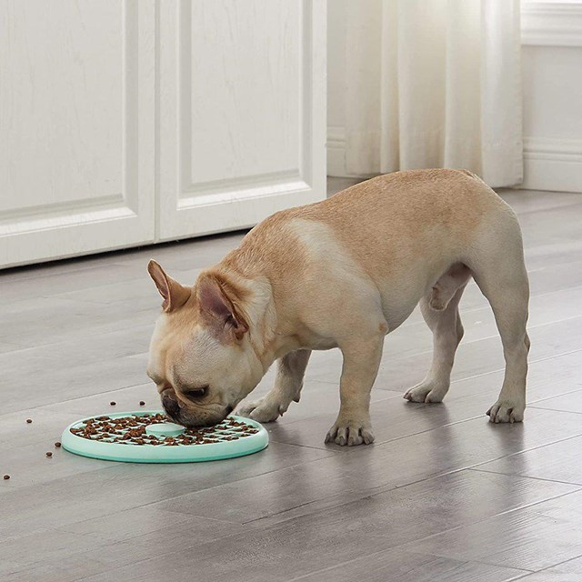 OUTWARD HOUND Fun Feeder Slo Tray matskål - Mint