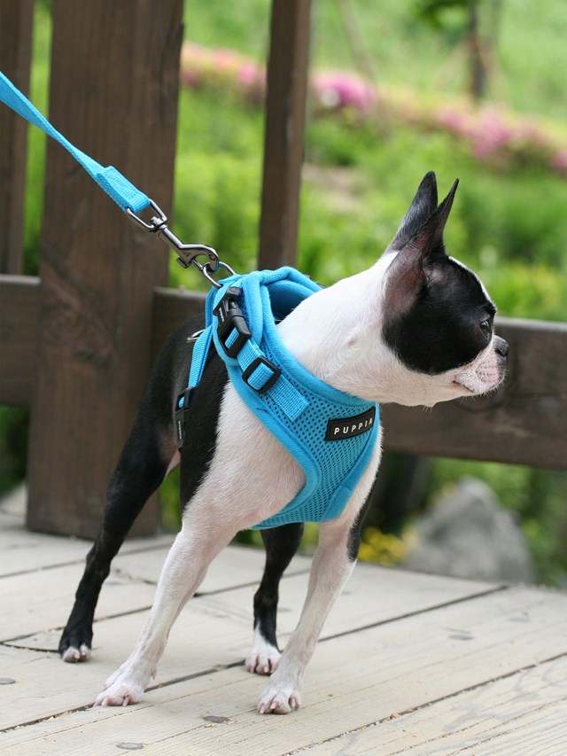 RITEFIT SOFT Skye Blue - Hundsele