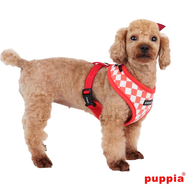 Grand Prix Red - Hundsele