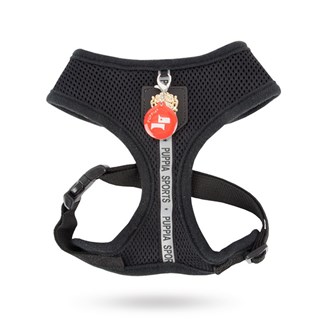 Dex Black - Hundsele Xl