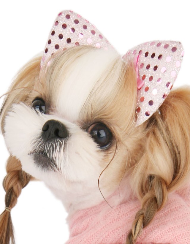 Glamour Puss Kitty Ears Hair Pin