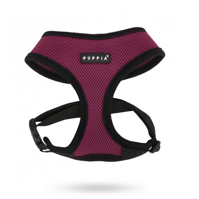 SOFT Purple - Hundsele