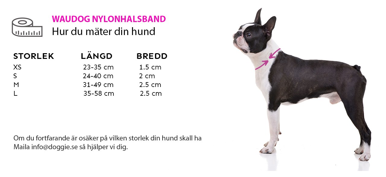 WAUDOG NYLONHALSBAND SE.jpg