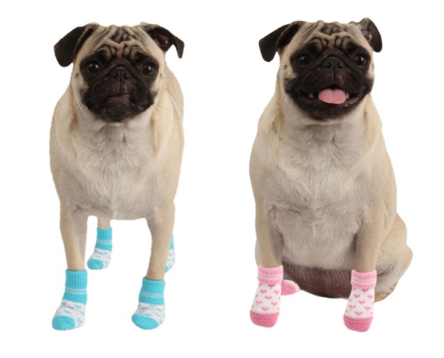 Angel Heart Sky Blue - Hundstrumpor