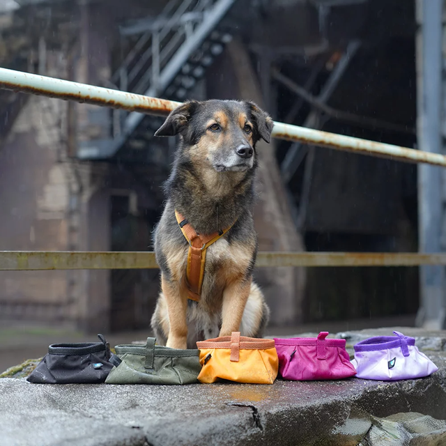 ANNY-X BOWL TO GO - FORSYTHIA