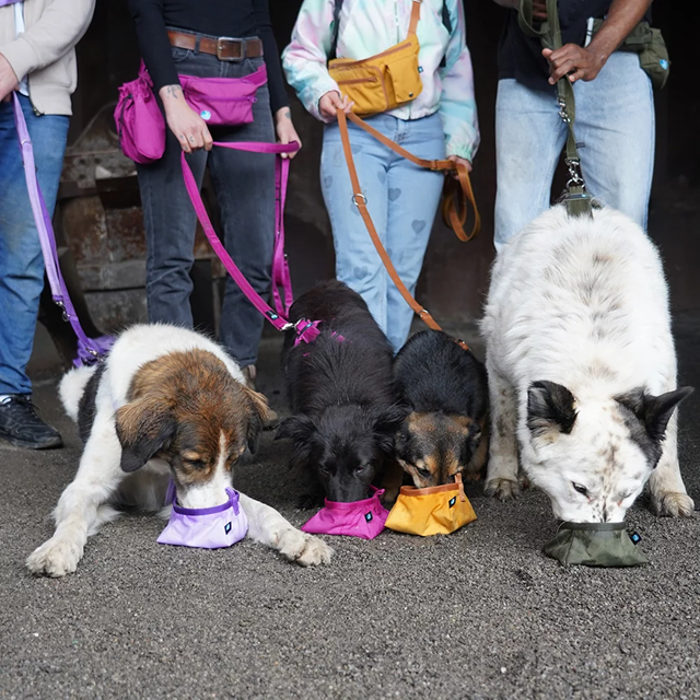 ANNY-X BOWL TO GO - LAVENDER