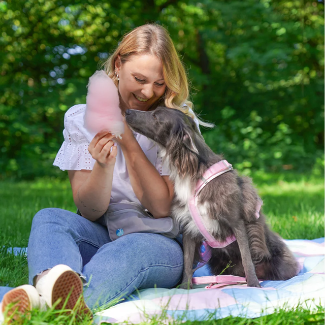 Anny-X Fun Hundsele Cotton Candy