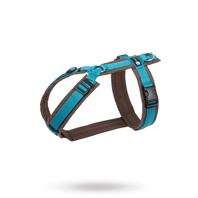 Anny-X Fun Hundsele Brun/Petrol