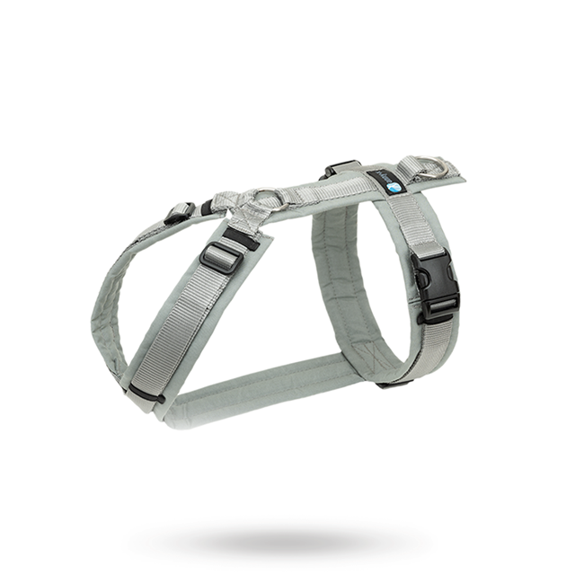 Anny-X Fun Hundsele Grey/Silver