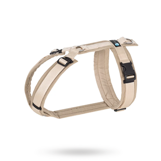 Anny-x Fun Hundsele Guelder Rose