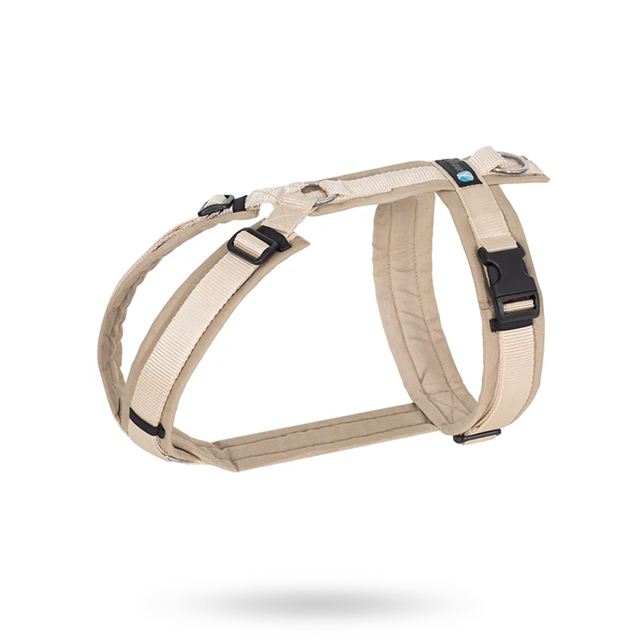 Anny-X Fun Hundsele Guelder Rose