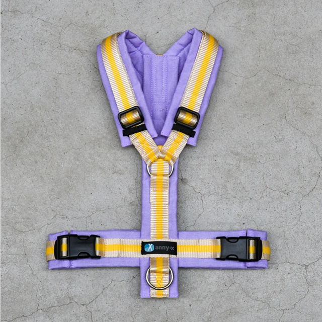 Anny-X Fun Hundsele Primrose