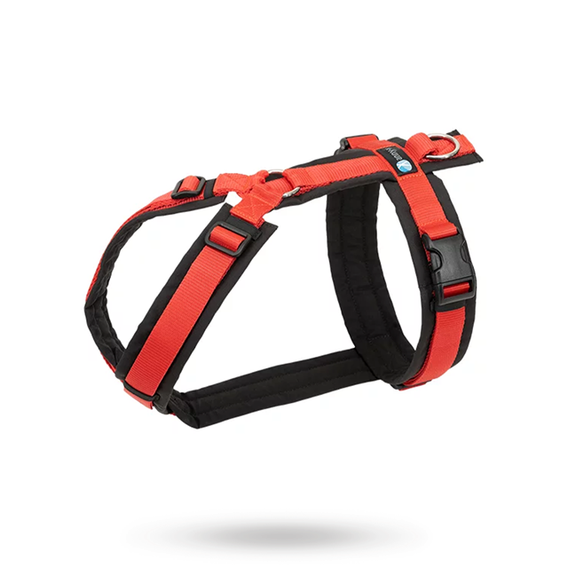 Anny-X FUN Hundsele Röd/Svart