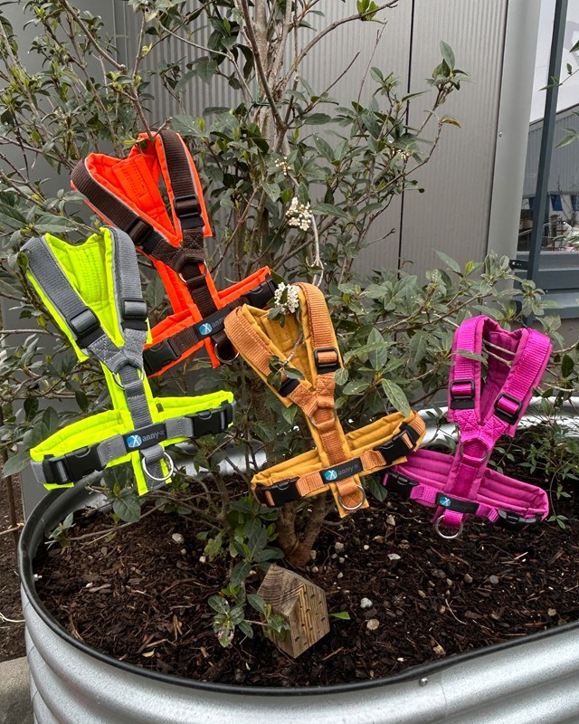 ANNY-X HUNDSELE PROTECT LUMINOUS ORANGE/BRUN