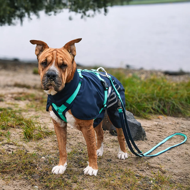 Anny-X Safety Fun Koppel - Ocean