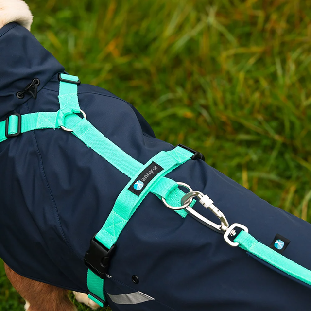 Anny-X Safety Fun Koppel - Ocean