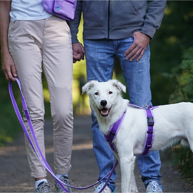 Anny-X Safety Fun Koppel - Lavender