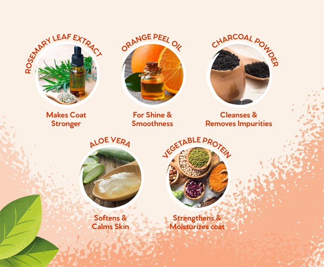 Ditch The Dirt Spray Torrshampo 300 ml