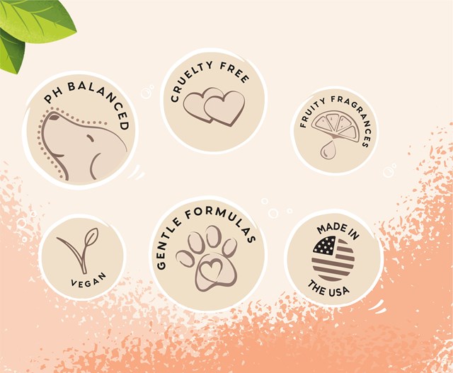 Ditch The Dirt Spray Torrshampo 300 ml