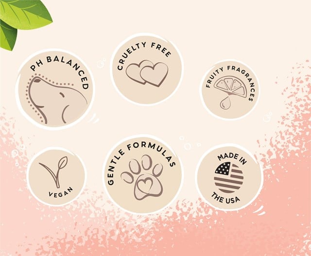 Quick Fix Spray Torrschampo 300 ml