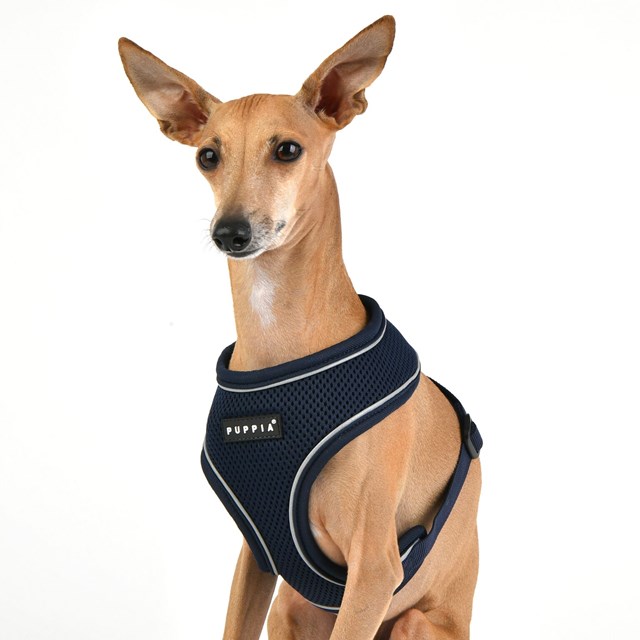 SOFT Harness A PRO Navy - Hundsele