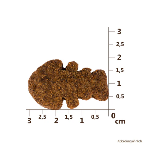 Carnilove Dog Crunchy Snack Salmon Blueberry 200g