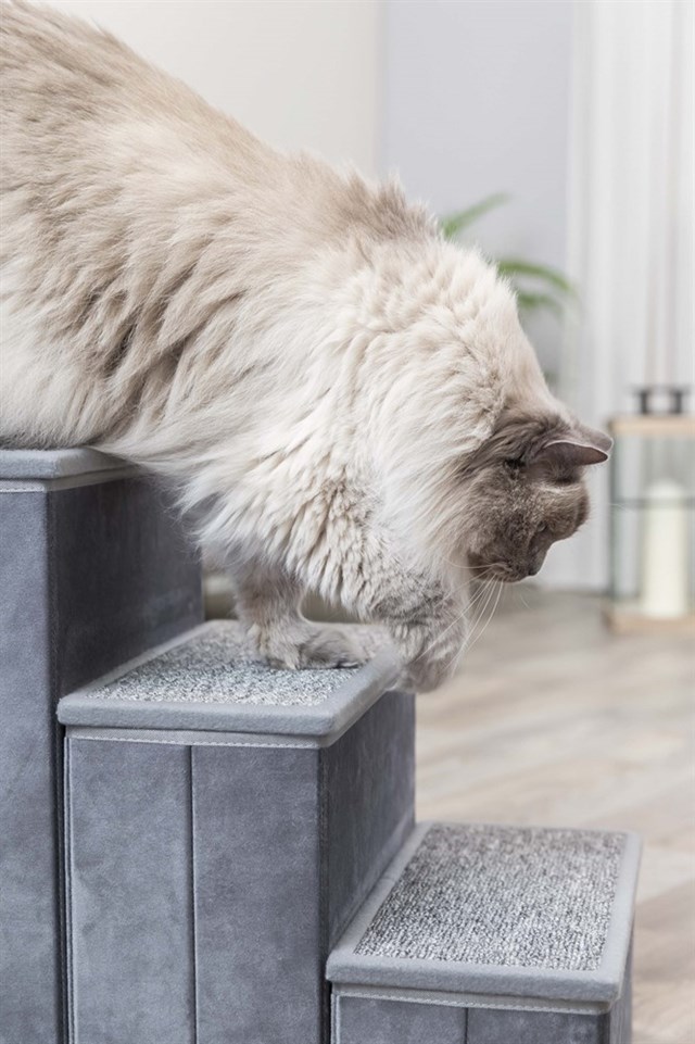 Hundtrappa med förvaring - Grå