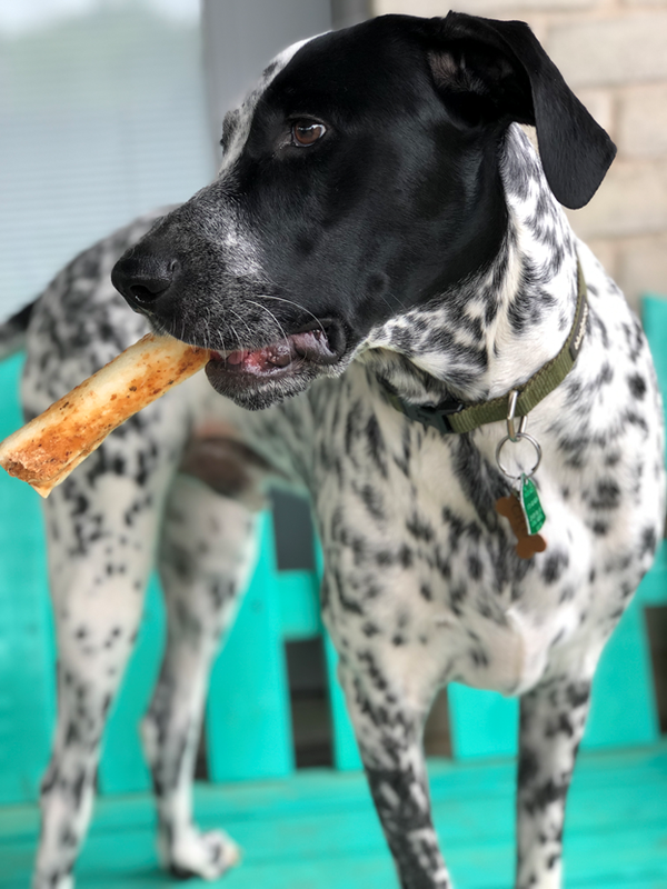 No-Hide Salmon Chews - Tuggben