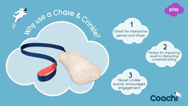 Coachi Chase & Crinkle - Kampleksak