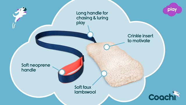 Coachi Chase & Crinkle - Kampleksak