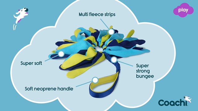 Coachi Tuggi Spider - Kampleksak